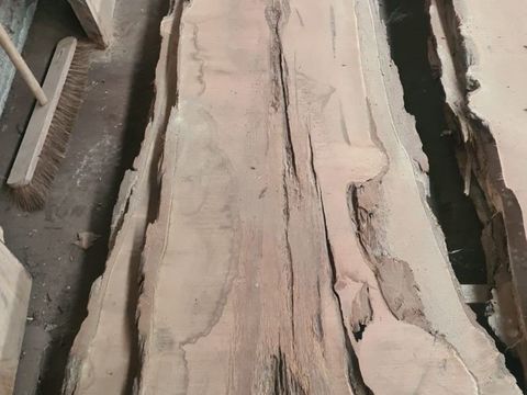 Robinia “Burl”  boomstam planken