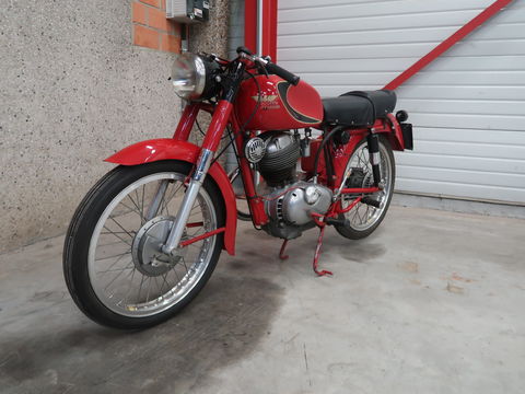 Morini motor - 1955